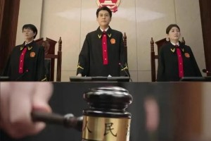 6部高质量公检法电视剧推荐：正义与权力的博弈