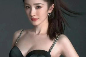 精选图片集锦：视觉盛宴一览