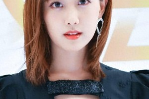 精选图片集锦：视觉盛宴一览