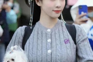 多图展示：精选图片集锦