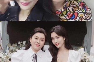 孟子义：从争议到成长的演艺之路与美貌基因
