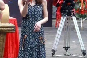 姚笛从巅峰到谷底：婚外情毁掉的星途